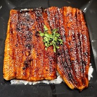 龍吟 - 