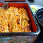 うなぎ割烹　玉勘 - 2024年5月　鰻重（特）