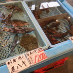 Uowaka - 店内の鮮魚売場