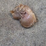 水了軒 - あっ(T_T)