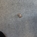 水了軒 - あっ(ﾟДﾟ;)