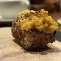 cenci - 