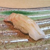宿木 - ☆スズキ