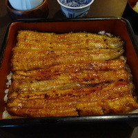 つきじ宮川本廛 - 