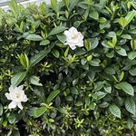 焼きもの家 慶 - 