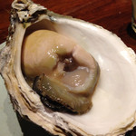 牡蠣って美しいですね。