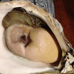 この牡蠣、動いてますよ。まだ生きてるんです。