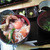 みらく - 料理写真:30食限定海鮮丼(\950)普段は\1580