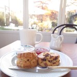 ELEVENSES TEA ROOMS - 