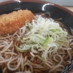 駅そば そば・うどん八起家 - ボソボソにネギを乗せて食べる