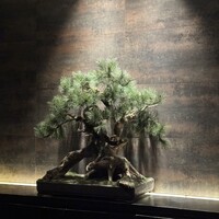 中目黒 いぐち 恵比寿店 - 