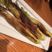 KOiBUMi - 