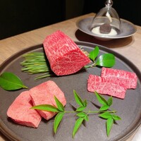 USHIGORO S. SHINJUKU - 