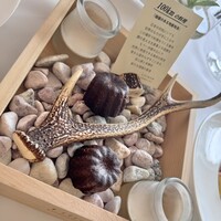 Liliane - 