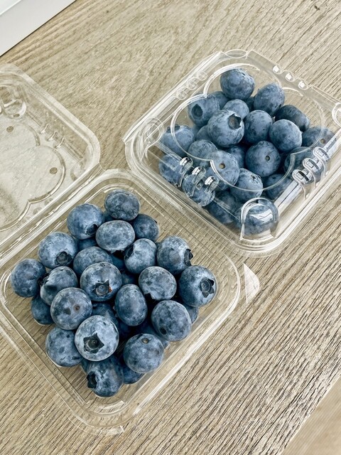 Blender ice WAKA （ブレンダー アイス ワカ） - 甘木/ジェラート