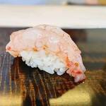 鮨 なんば - シマエビ