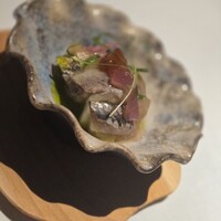 MOTORA  - 