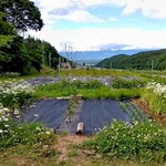 レストランさんざ - 