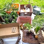 レストランさんざ - マルシェ