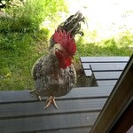 レストランさんざ - 君たち、どこから？