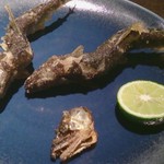 銀座 座屋 - 2014/9