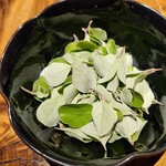 温石 - 夏の便り  浜拷  ユーカリやミントみたいな清々しい香り