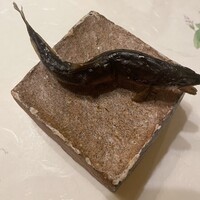 旬菜 おぐら家 - 