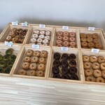 BLANKET DONUTS - 