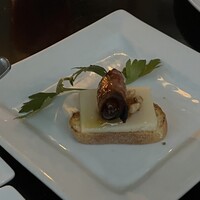 CICADA - 