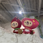 FRUIT AREA 29 - なんかいた。かわいい。