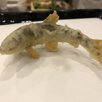 天ぷら はせ川 - 