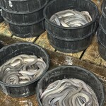 うなぎの魚伊 - 