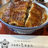 うなぎのしろむら 春日井 - 活うなぎ丼　上　ご飯大盛