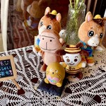 シナノガーデン コスモス - 