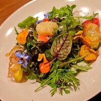 季音 - 