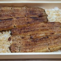 うなぎ 目白ぞろ芽 - 