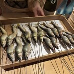 橦木町 しみず - 和良川の鮎(左側)と益田川の鮎(右側)