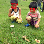 山地酪農牛乳 - 牛さんキノコきらいなのかなぁ？！