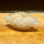 枯淡 - 福岡アオリイカ　5日目　ねっとり甘い