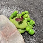 レストラン オオツ - そら豆とスナップエンドウでほっこりする。ワインもススム