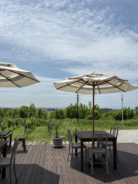 SUNSET WALKER HILL  photo 5