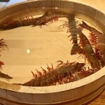 日本料理 別府 廣門 - 赤足海老