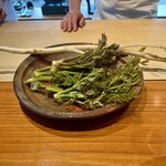 日本料理 別府 廣門 - 山うど　天然タラの芽