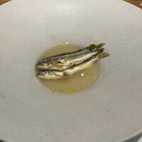 Osteria OLMO - 
