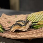北海道爐端燒 KAGARI - 