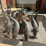 炭の音 あすと - 