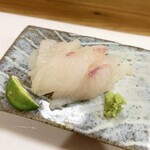 穴子料理と地酒 浅草 川井 - 虎魚のお造り