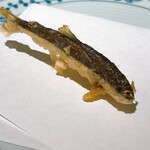 天ぷら新宿つな八 - 