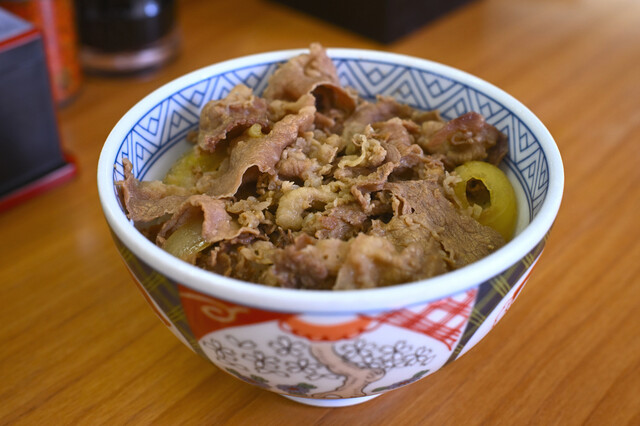 Donburi Taro Menaya Ten