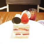 ピエール マルコリーニ - 